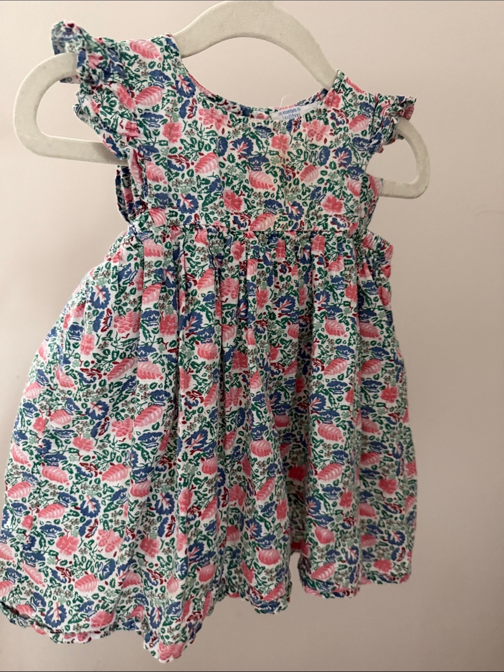 Girls Casual Floral Ruffled-Sleeve Dress - Pink & Blue